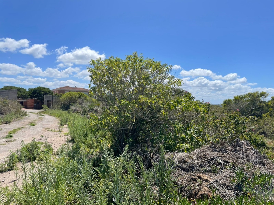 0 Bedroom Property for Sale in Forest Downs Eastern Cape